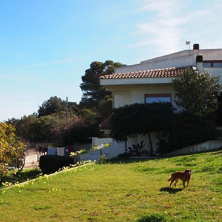 Vila Asinara Sassari Exteriér fotografie