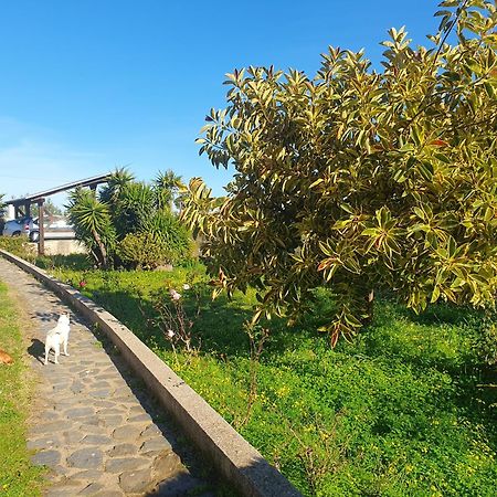 Vila Asinara Sassari Exteriér fotografie