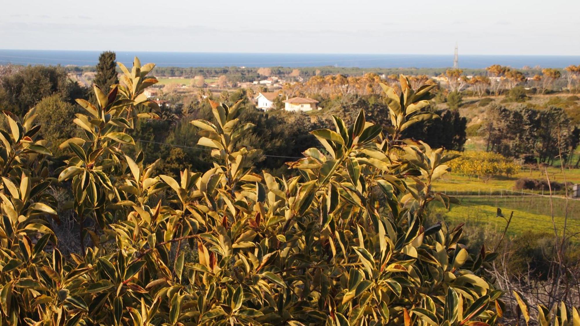 Vila Asinara Sassari Exteriér fotografie