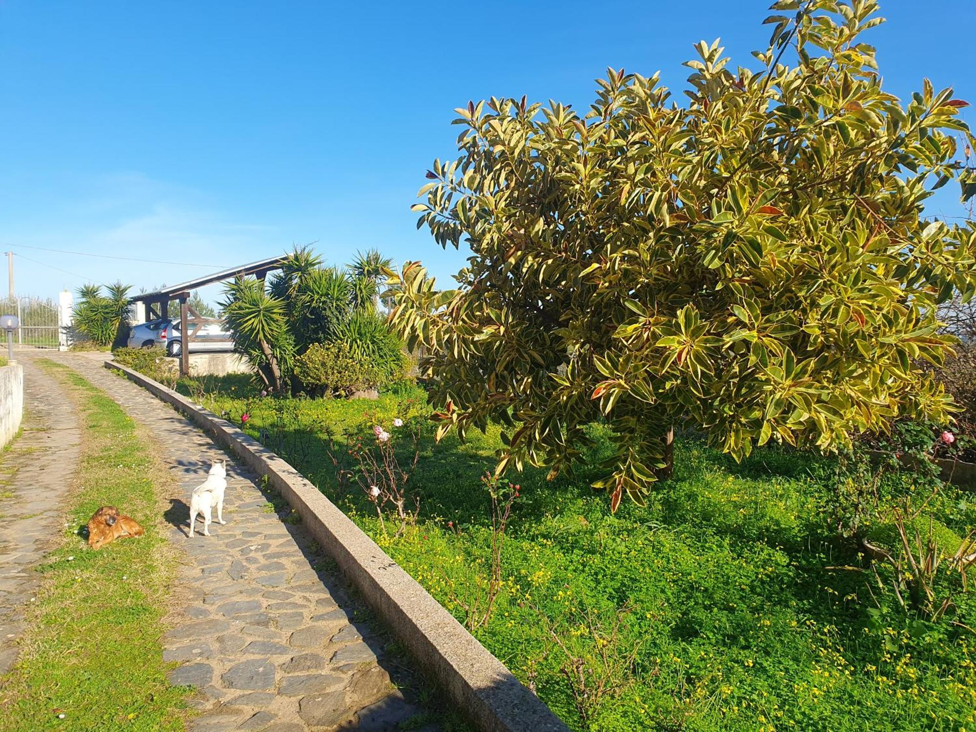 Vila Asinara Sassari Exteriér fotografie